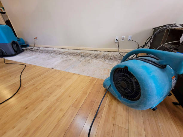 Professional Basement Flood Cleanup technician working in Dexter, OR